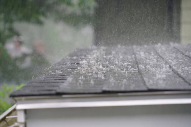 Best Roof Waterproofing  in Hutchinson, KS